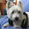 wendymccabe1971 - @wendymccabe1971 - TikTok