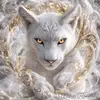 Wendy McCarter - @wendy.mccarter6 - TikTok