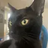 wendy.mcdowell - @wendy.mcdowell6 - TikTok