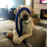 Wendy Means - @wendybobendy228 - Instagram