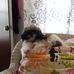 Wendy Meigs - Facebook