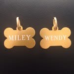 Miley & Wendy - @miley.wendy.pugs - Instagram