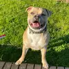 wendymillar08 - @apollo1234567890 - TikTok