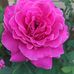 Wendy Milligan - Facebook