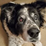 Wendy Milligan Sack - @wjaneala - Instagram