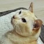 Wendy Monaghan - @wmonaghan0104 - Instagram