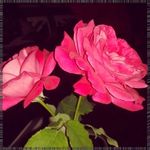 Wendy Motsinger - @vincebyronpca - Instagram
