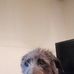 Wendy Mueller - Facebook