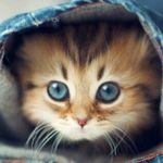 wendy Mueller - @skywingscar3 - Instagram