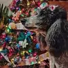 Wendy Mueller - @wendy.mueller3 - TikTok