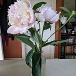 Wendy Mueller - @wendy.mueller74 - Instagram
