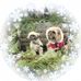 Wendy Muench - Facebook