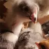 Wendy Munch - @wendy.munch - TikTok
