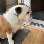 Wendy Lewis - @wendynealelewis - Instagram