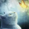 wendyneale536 - @wendyn54 - TikTok