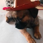 Wendy Neri Velázquez - @wendynerivelazquez - Instagram