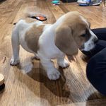 Wendy Neu - @wendy.neu - Instagram