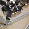 wendyneubauer342 - @wendyneubauer342 - TikTok