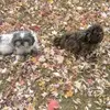 Wendy Berger - @wendy.berger1 - TikTok