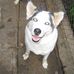 Wendy Nishimura - Facebook