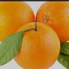 Orangewendy - @orangewendy - TikTok