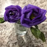 Wendy Maidment O'Reilly - @wendyeor - Instagram