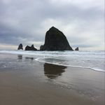 Wendy Pace - @stompingmare - Instagram