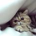 Wendy Paris - Facebook