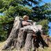 Wendy Patch - Facebook
