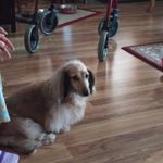 Wendy Patch - @wendypatch85gmail.com7 - Instagram