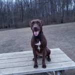 Wendy Pate - @baytuc - Instagram
