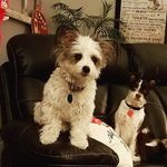 Wendy Pate - @beeingnana - Instagram