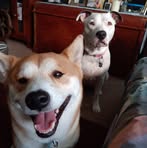 Wendy Pate - Facebook