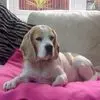 Wendy Pate - @wendy.pate8 - TikTok