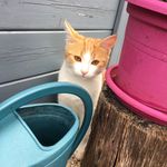 Wendy Petitjean - @wendy.petitjean - Instagram