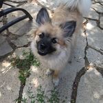 Wendy K Piche - @pichewendy - Instagram