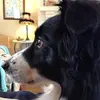 wendypiggottsmythe - @wendypiggottsmythe - TikTok