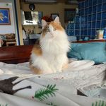 Wendy Pike - @wendy.pike.3781 - Instagram