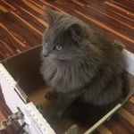wendy pike - @worny_36 - Instagram