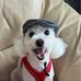 Wendy Piper - Facebook