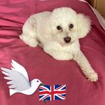 Wendy Piper - @wendypiper - Instagram