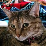 Wendy Pohl - @wendy.pohl.90 - Instagram