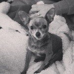 Wendy Pohlman Laird - @wendypohlmanlaird - Instagram