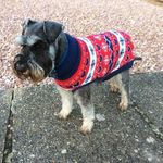 Wendy Pollard - @pollard9976 - Instagram