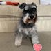 Wendy Pollard - Facebook