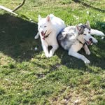Wendy Putt - @wendy.putt.56 - Instagram