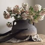 Wendy V Putten - @wendyvputten - Instagram