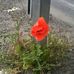 Wendy Rathbone - Facebook