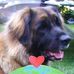 Wendy Rawson - Facebook