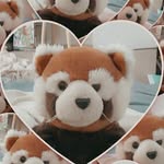 Wendy Rawson - @redpanda202 - Instagram